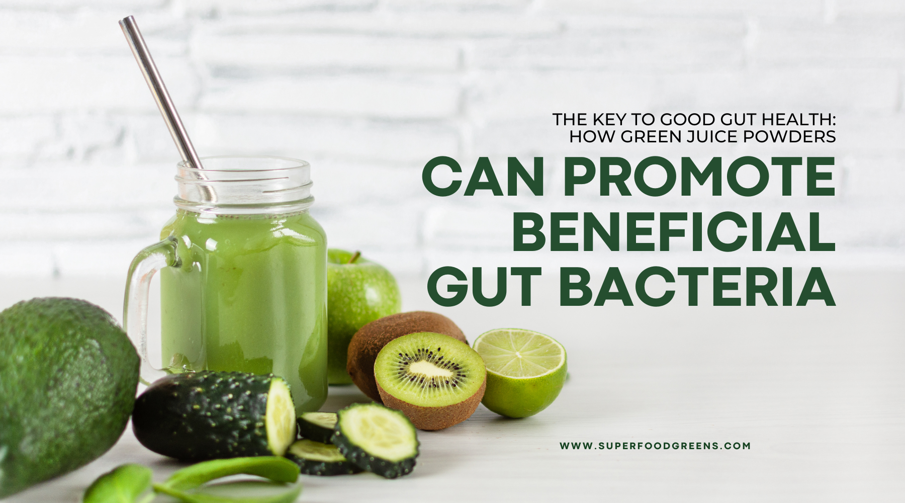gut health powder